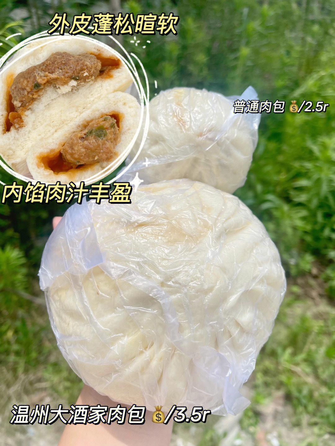 温州蝉街大酒家肉包图片