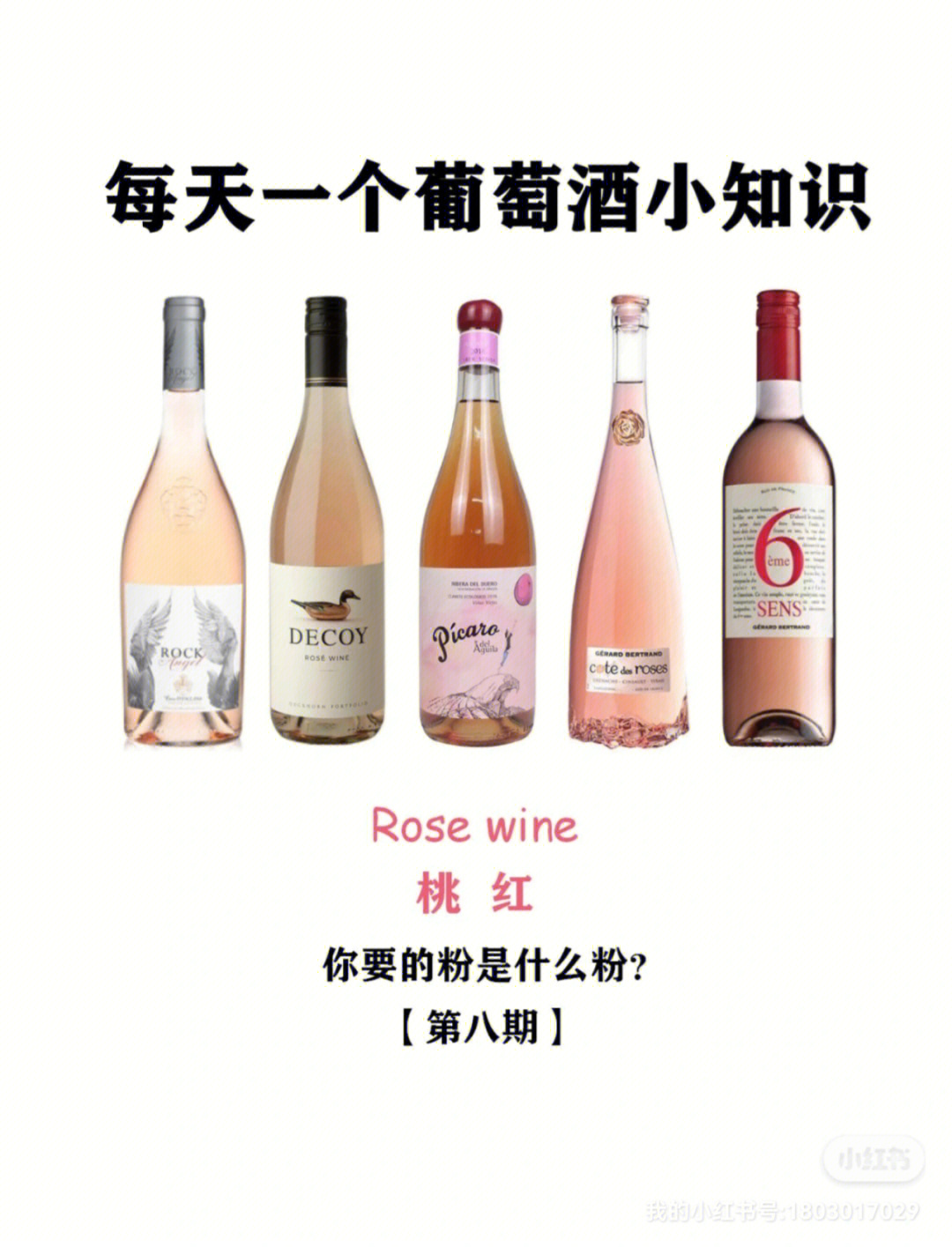 rosewine图片