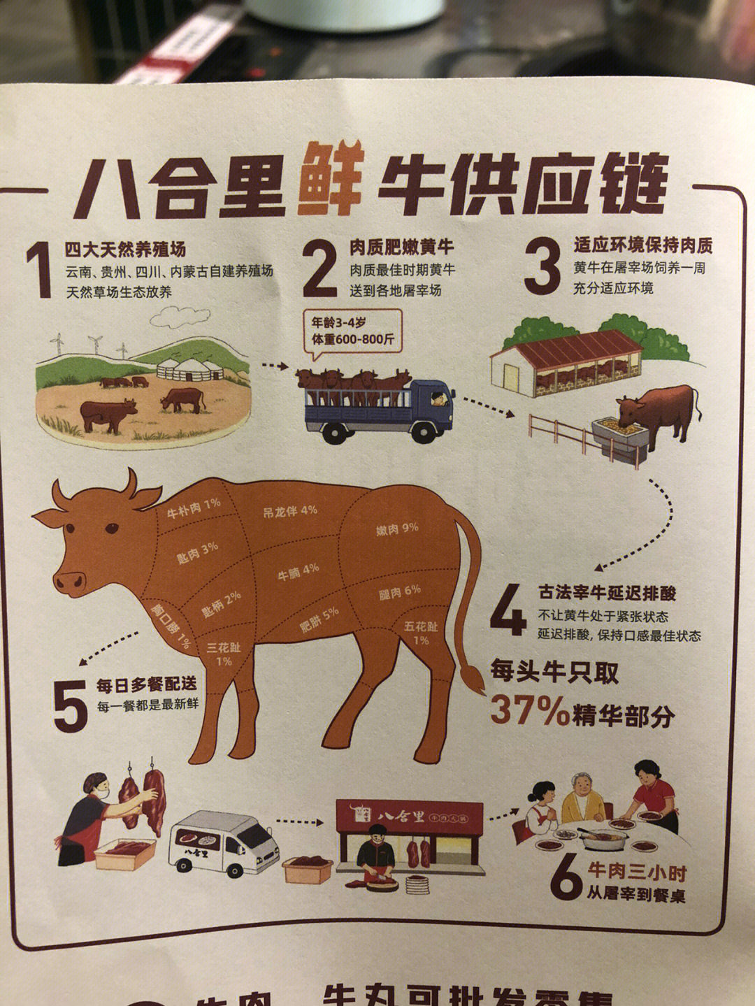 牛肉分割部位3d图 模型图片