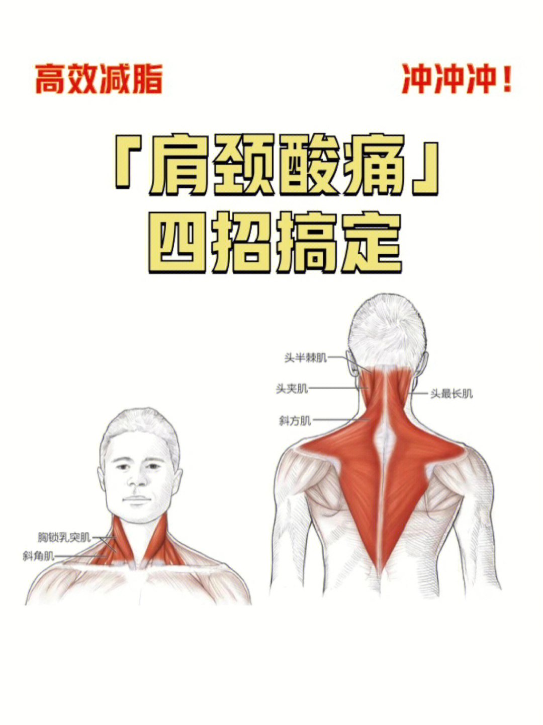 肩颈拉伸大全72图示