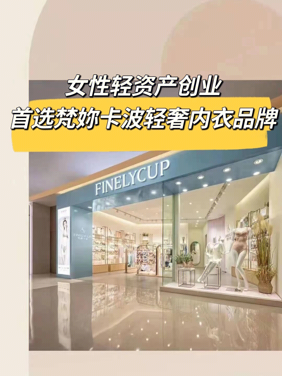 finelycup梵你卡波