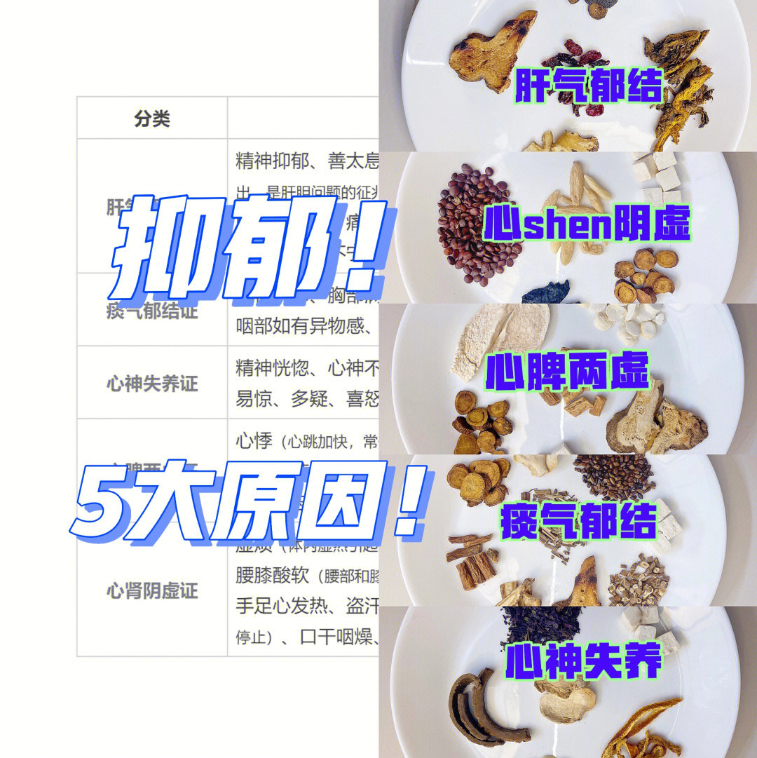 桑白皮汤加减医案图片