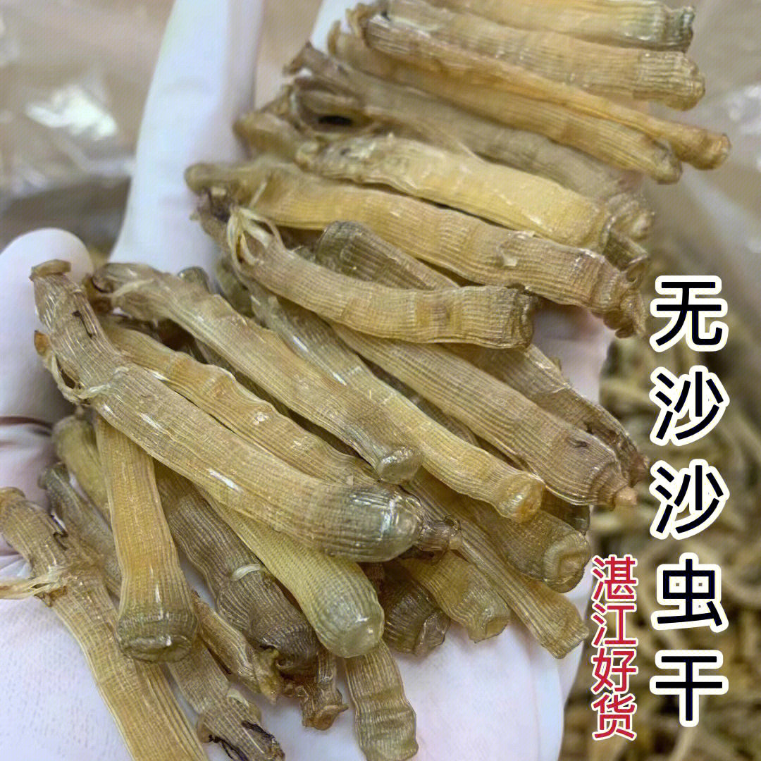 湛江特级无沙中号沙虫干