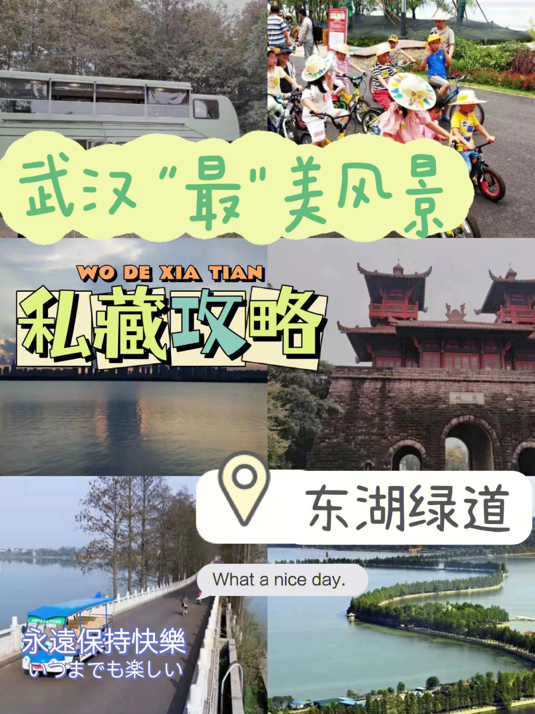 武汉东湖全程坐观光车图片