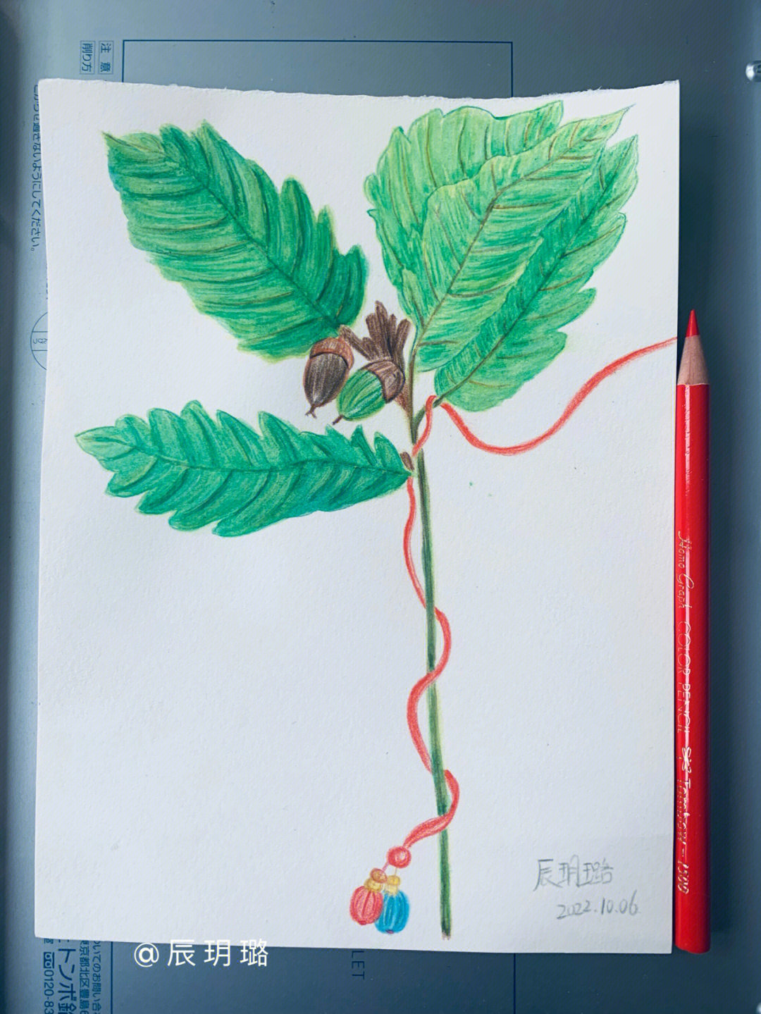 野生植物绘画作品图片