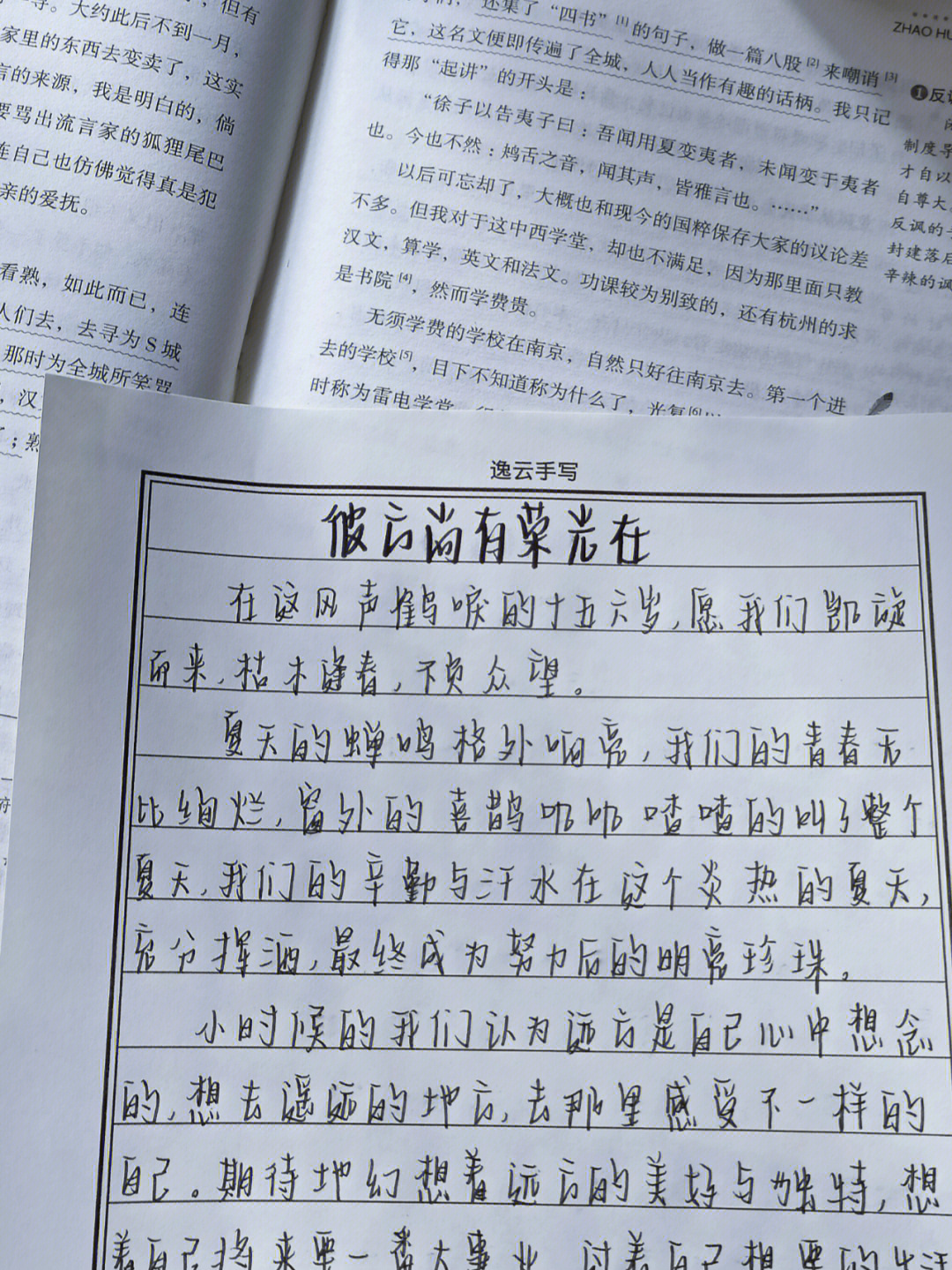 手写作文图片高清800字图片