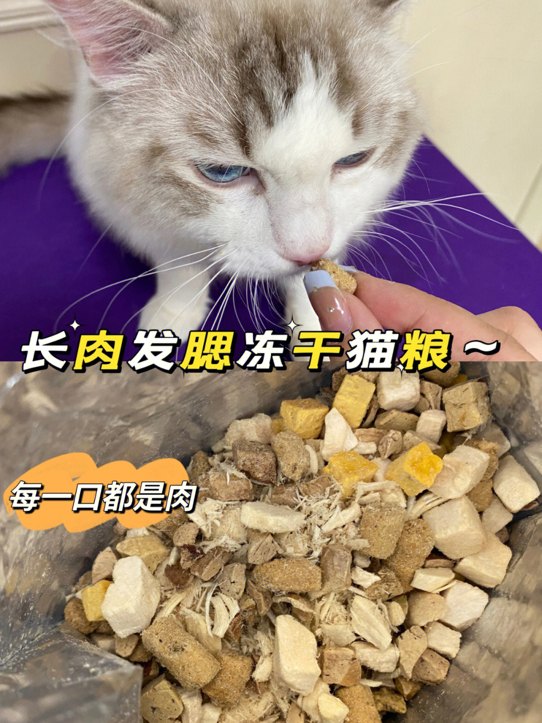 年纪轻轻全款拿下长肉发腮猫粮