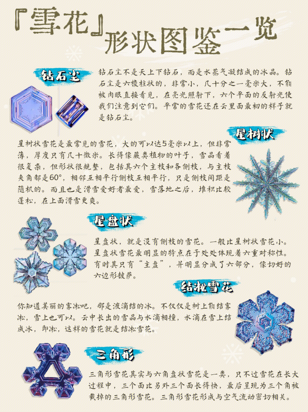 三年级介绍雪花的样子图片