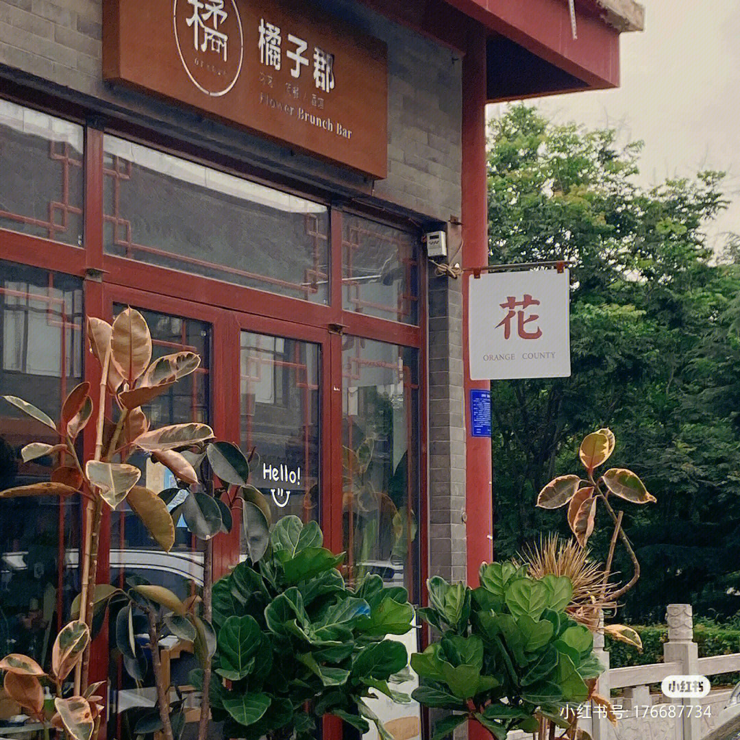 街边的小花店橘子郡