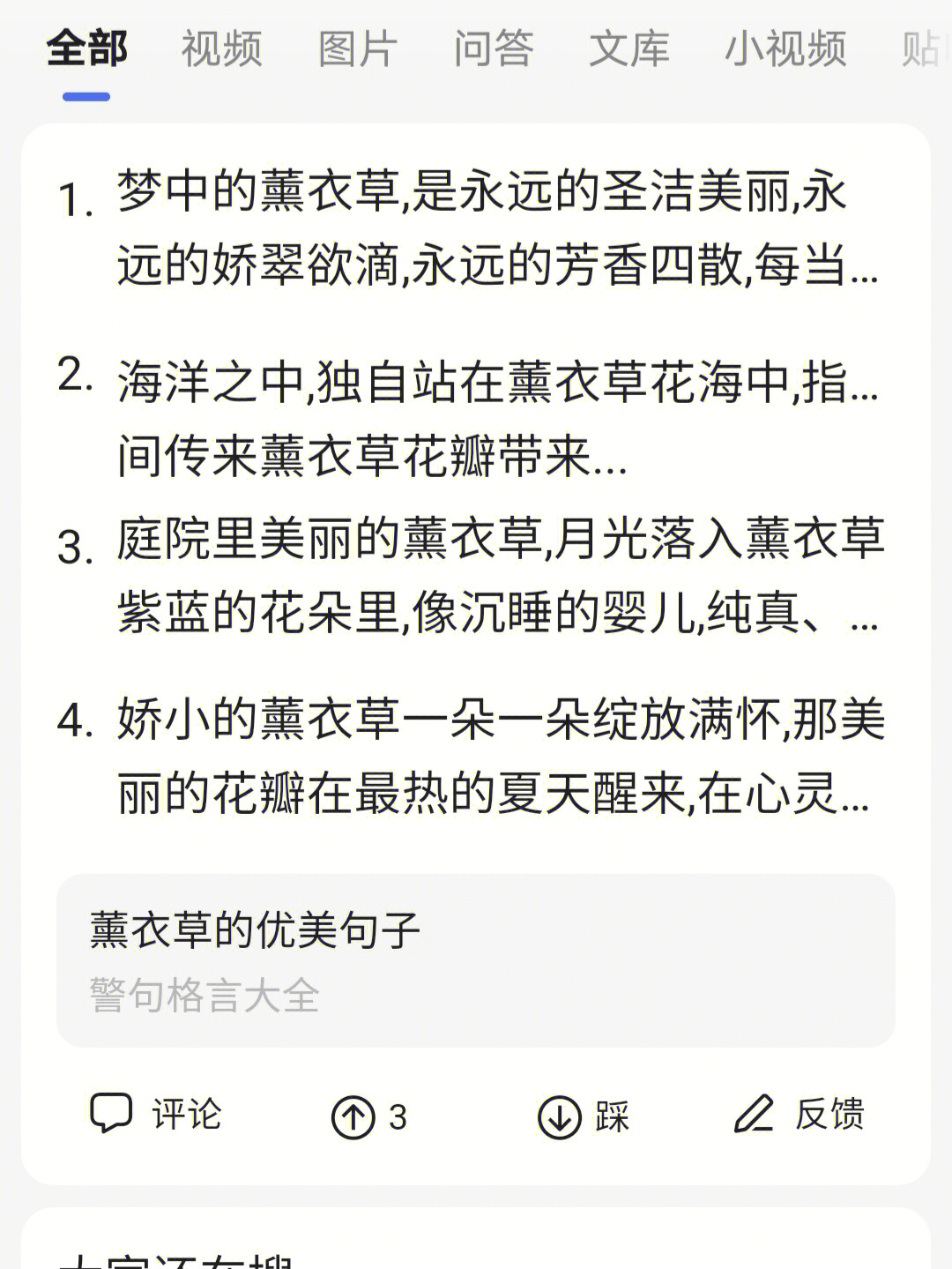 薰衣草的相关资料