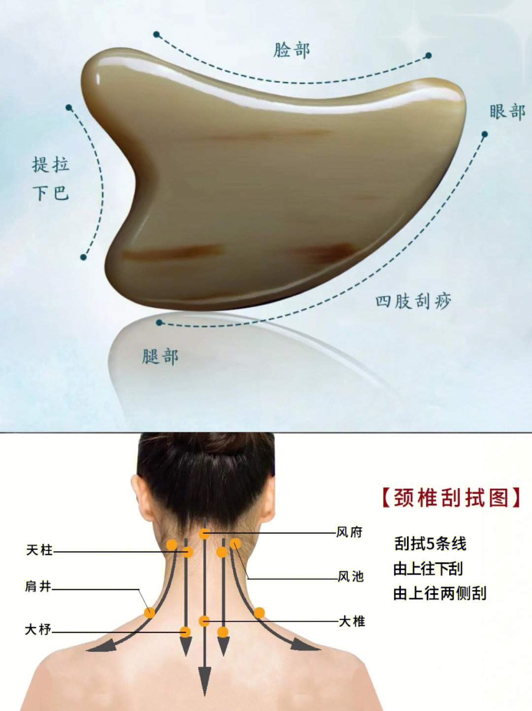 颈部刮痧的位置图解图片