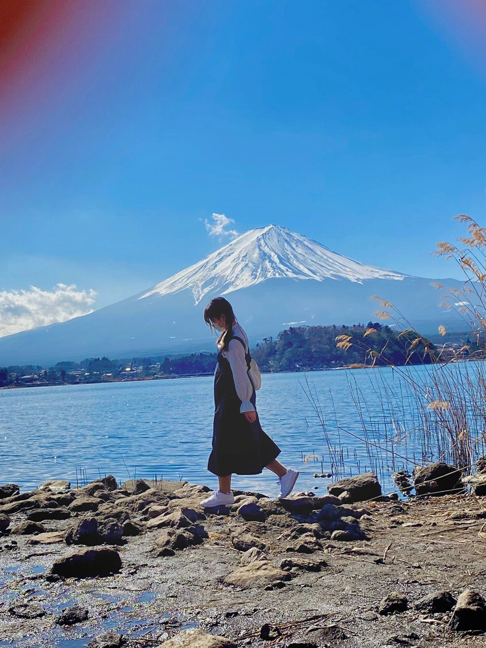 柚子富士山下图片