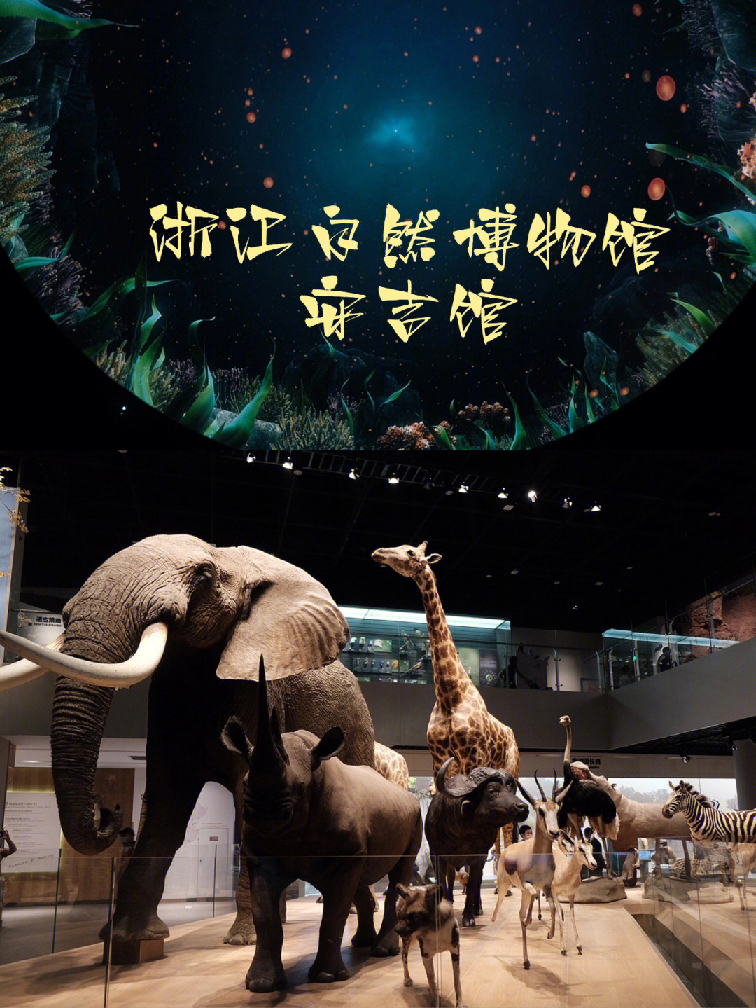 放暑假啦一定要去浙江自然博物馆安吉馆