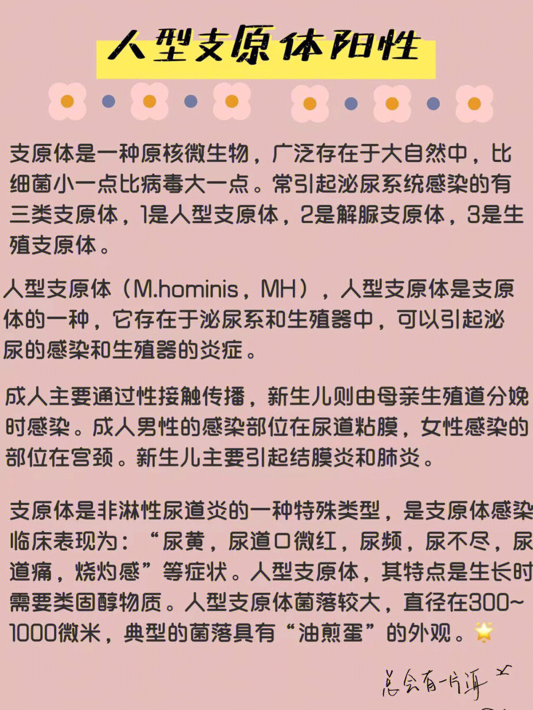 支原体感染是什么意思图片