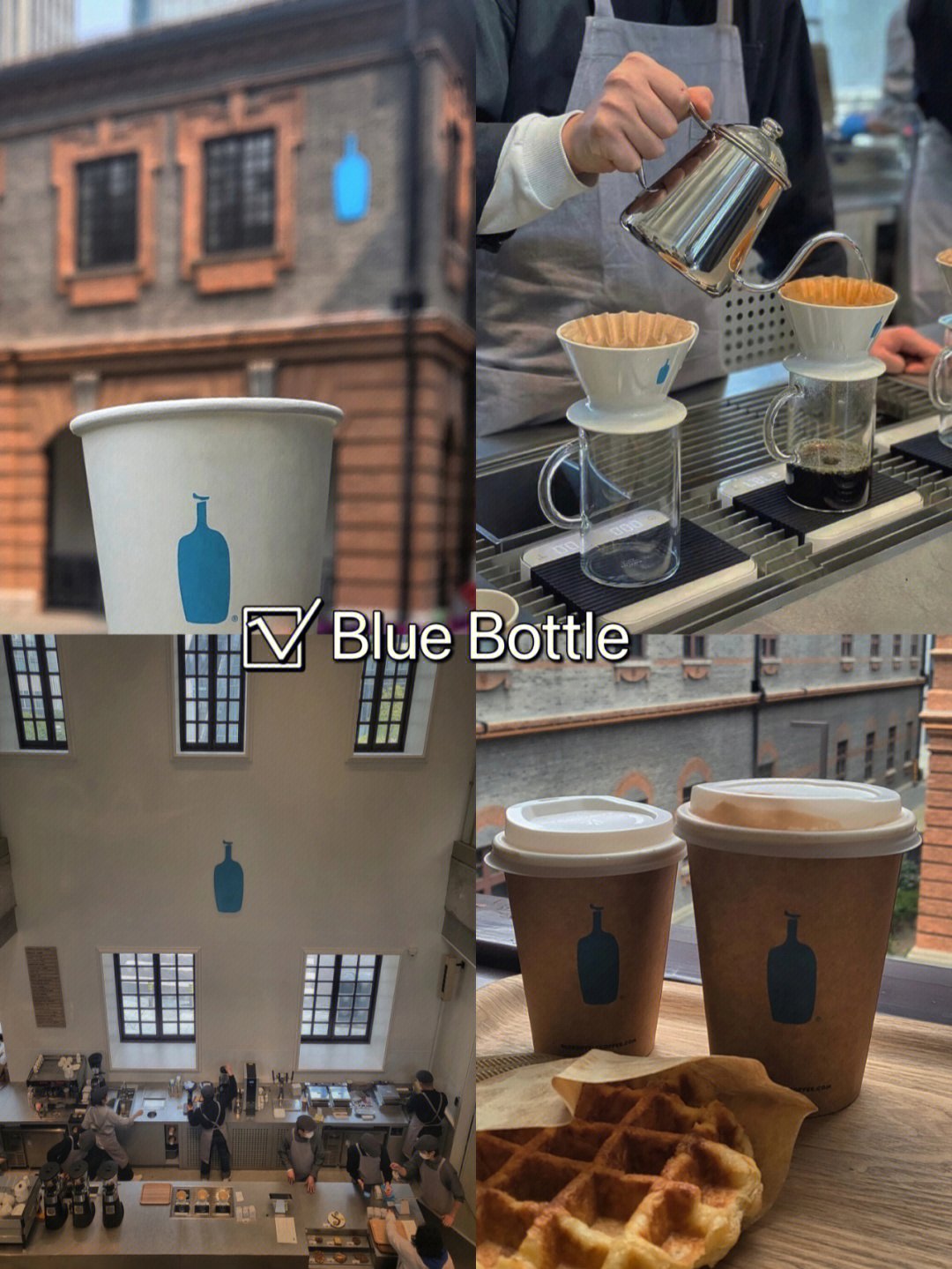 bluebottle 雀巢图片