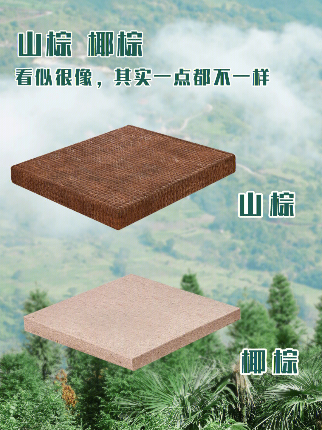 椰棕床垫和山棕床垫的区别