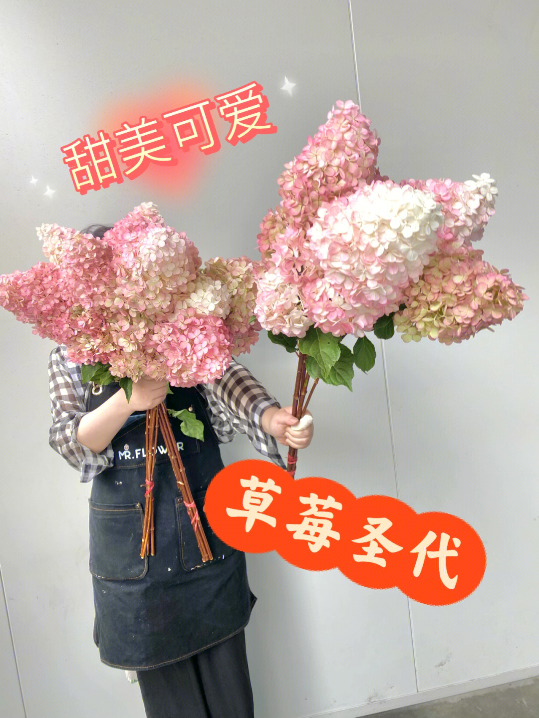 mrflower出品不能错过的绣球草莓圣代