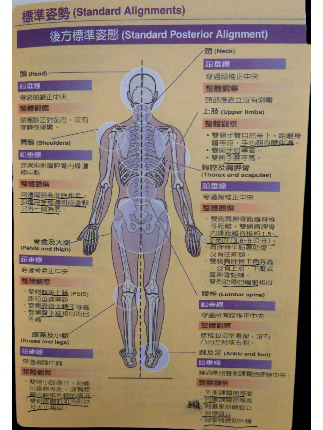 人体形态评定的目的图片