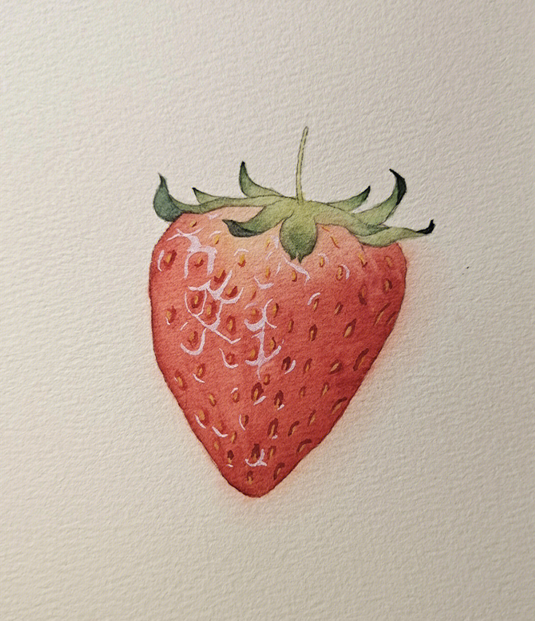 水彩草莓 画法图片