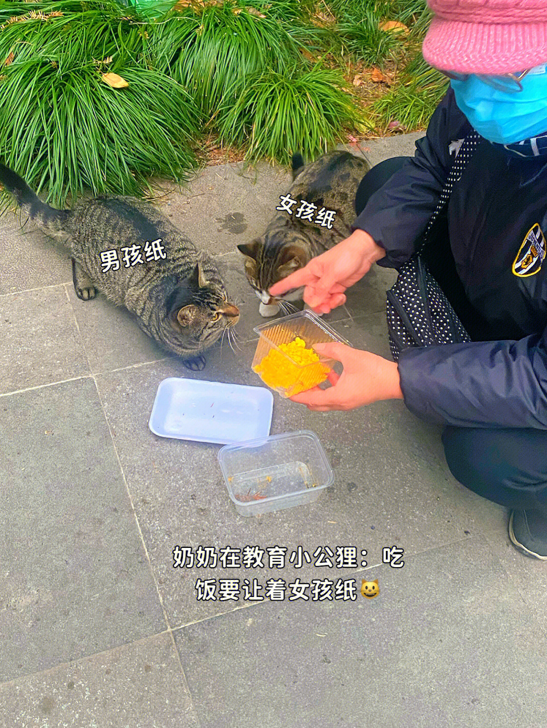 天津猫奶奶图片