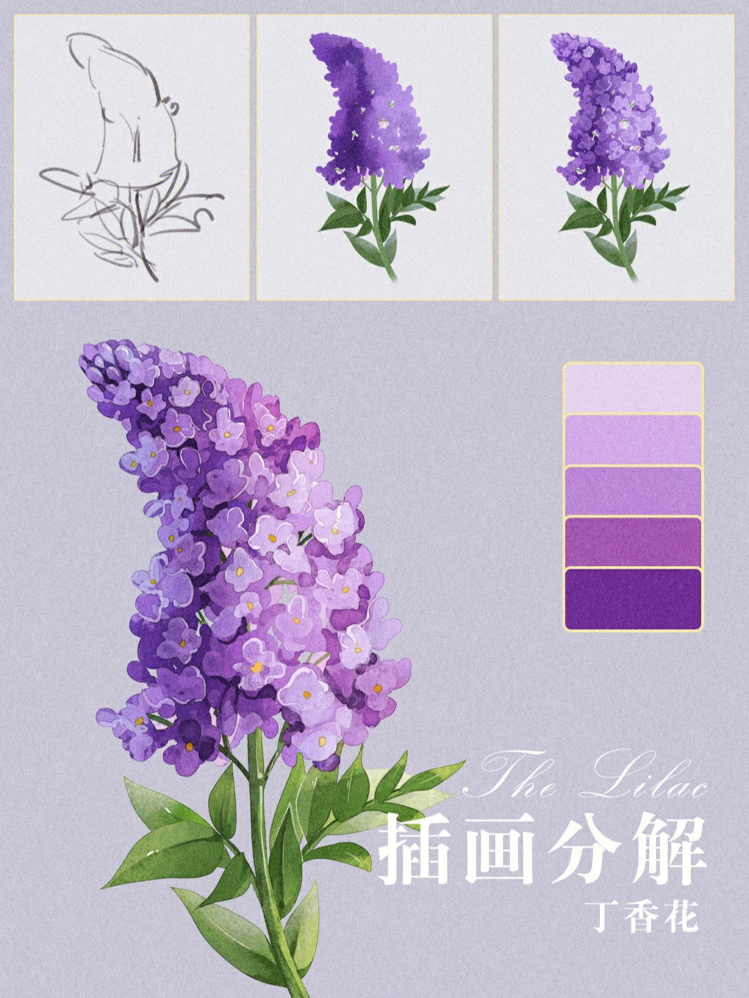 丁香花的简笔画 步骤图片