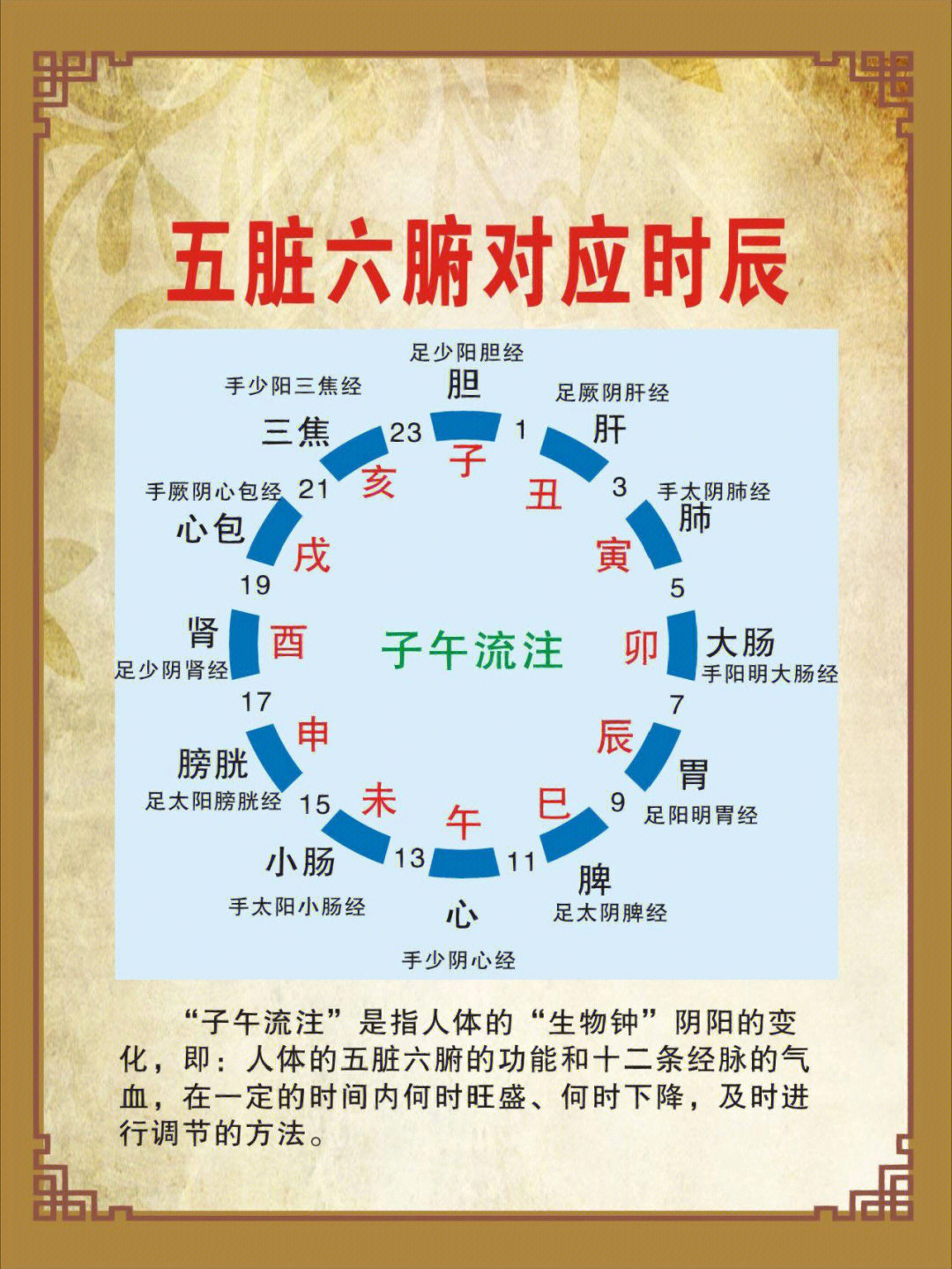 六腑的生理功能