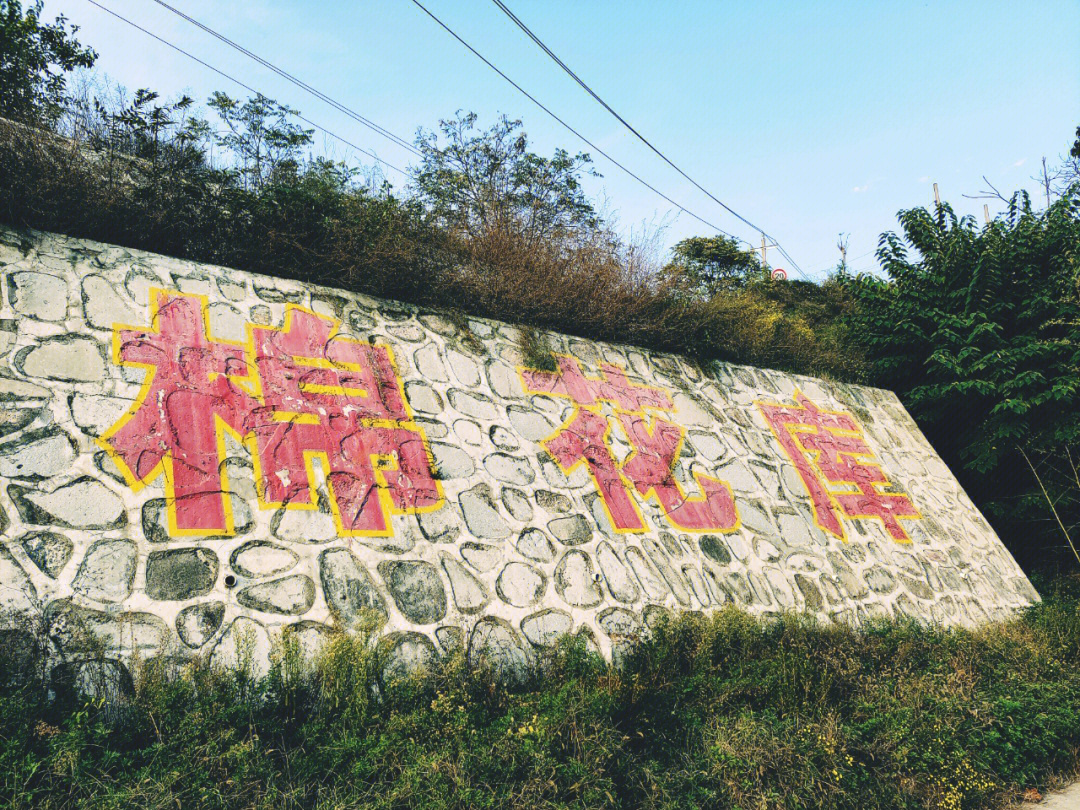 铜川药王山棉花库图片