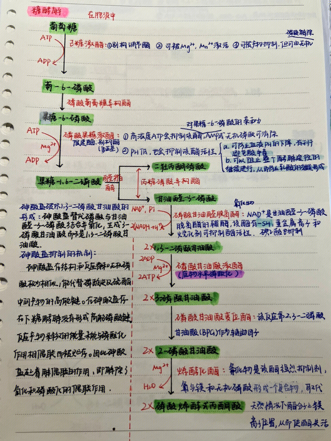 糖的制作过程思维导图图片