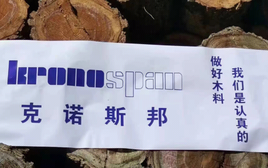 克诺斯邦板材logo图片