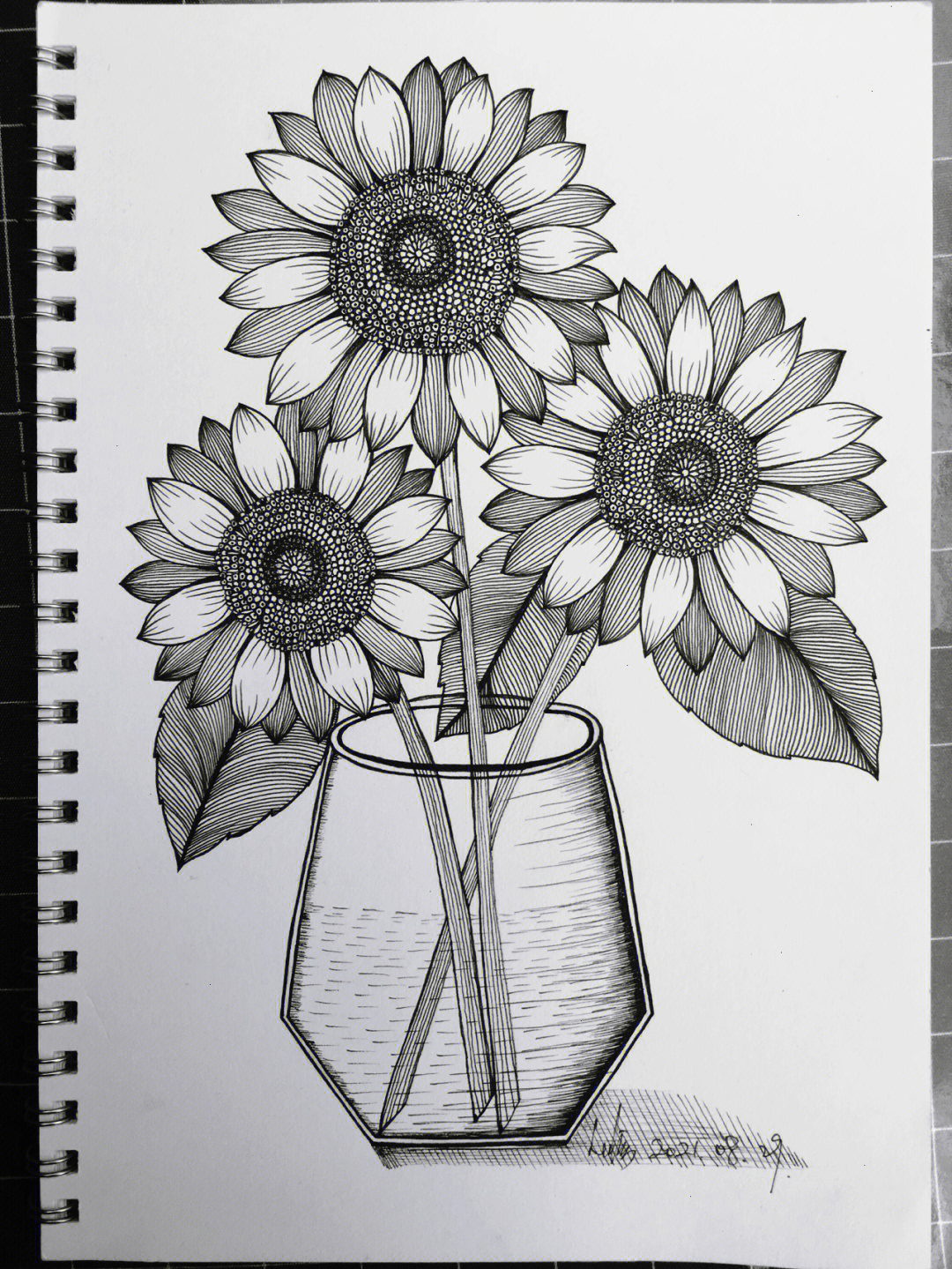 植物写生线描画简单图片