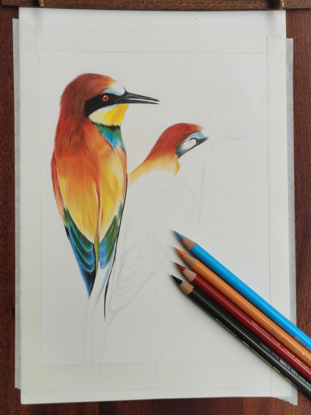 简单小鸟怎么画彩铅图片