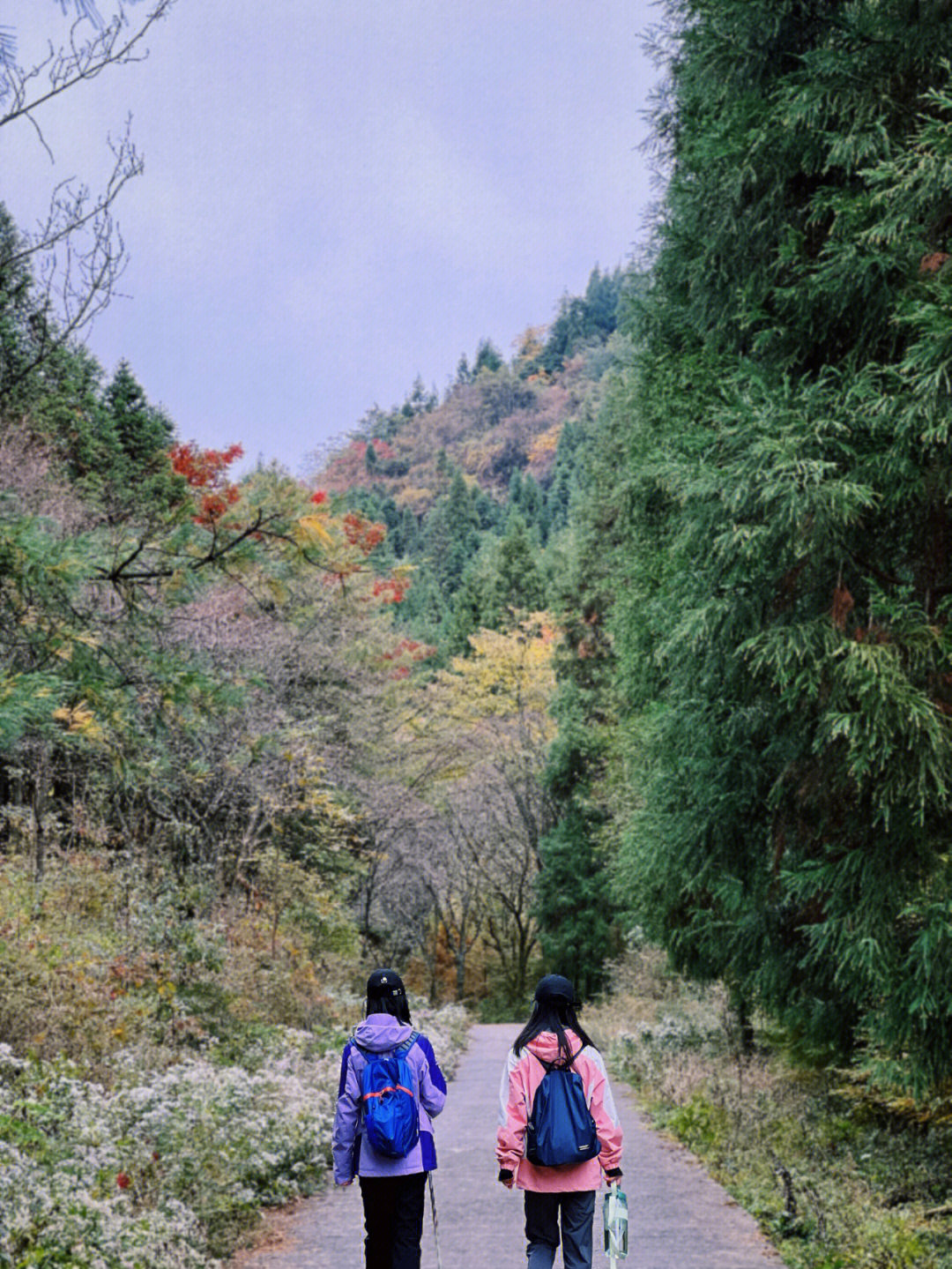 重庆玉带山图片