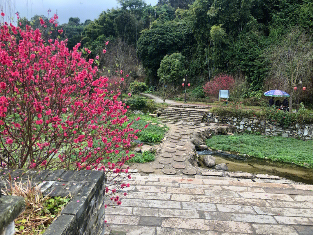 从化上罗村桃花小镇图片