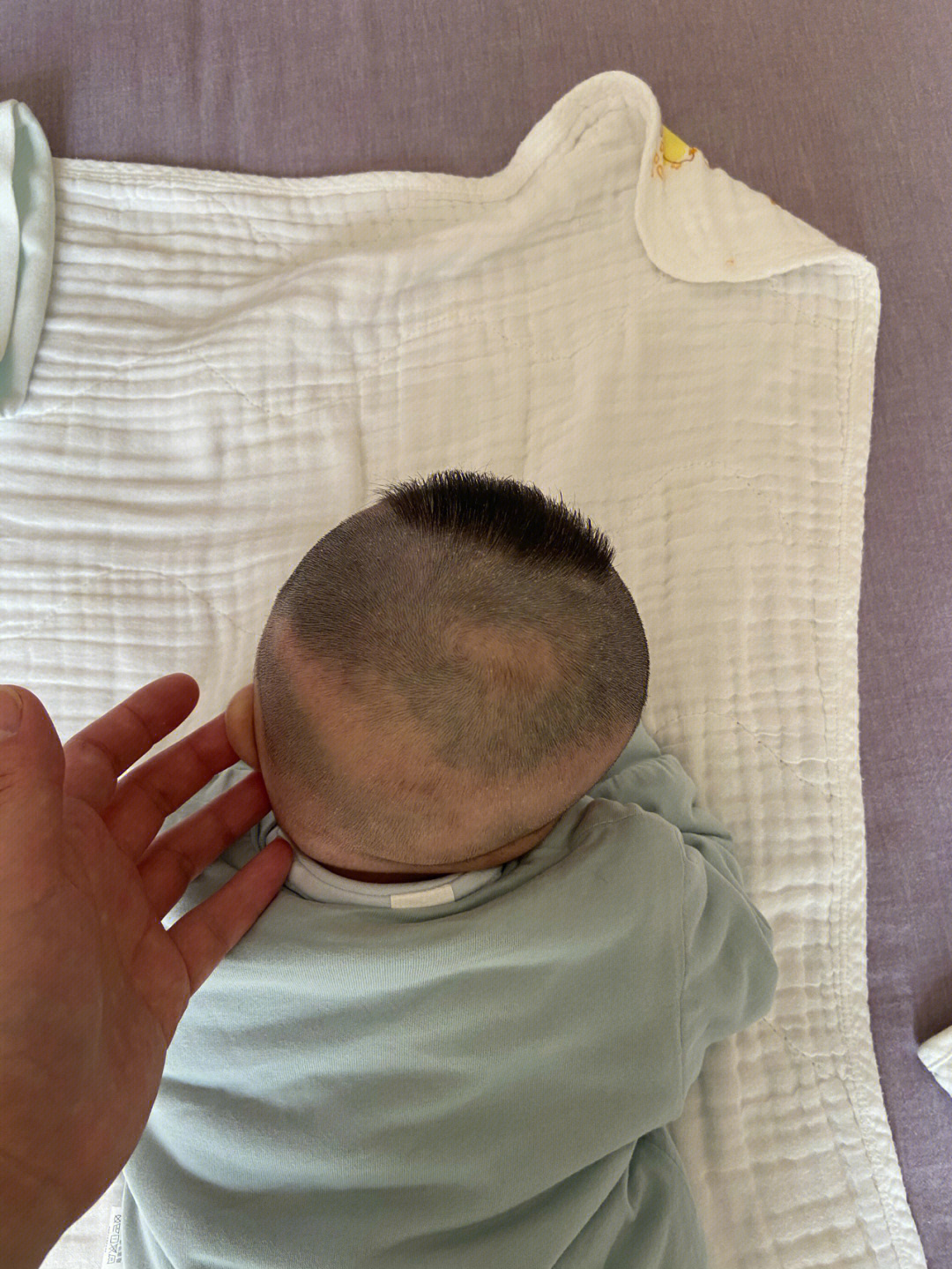 三个月婴儿发型图片