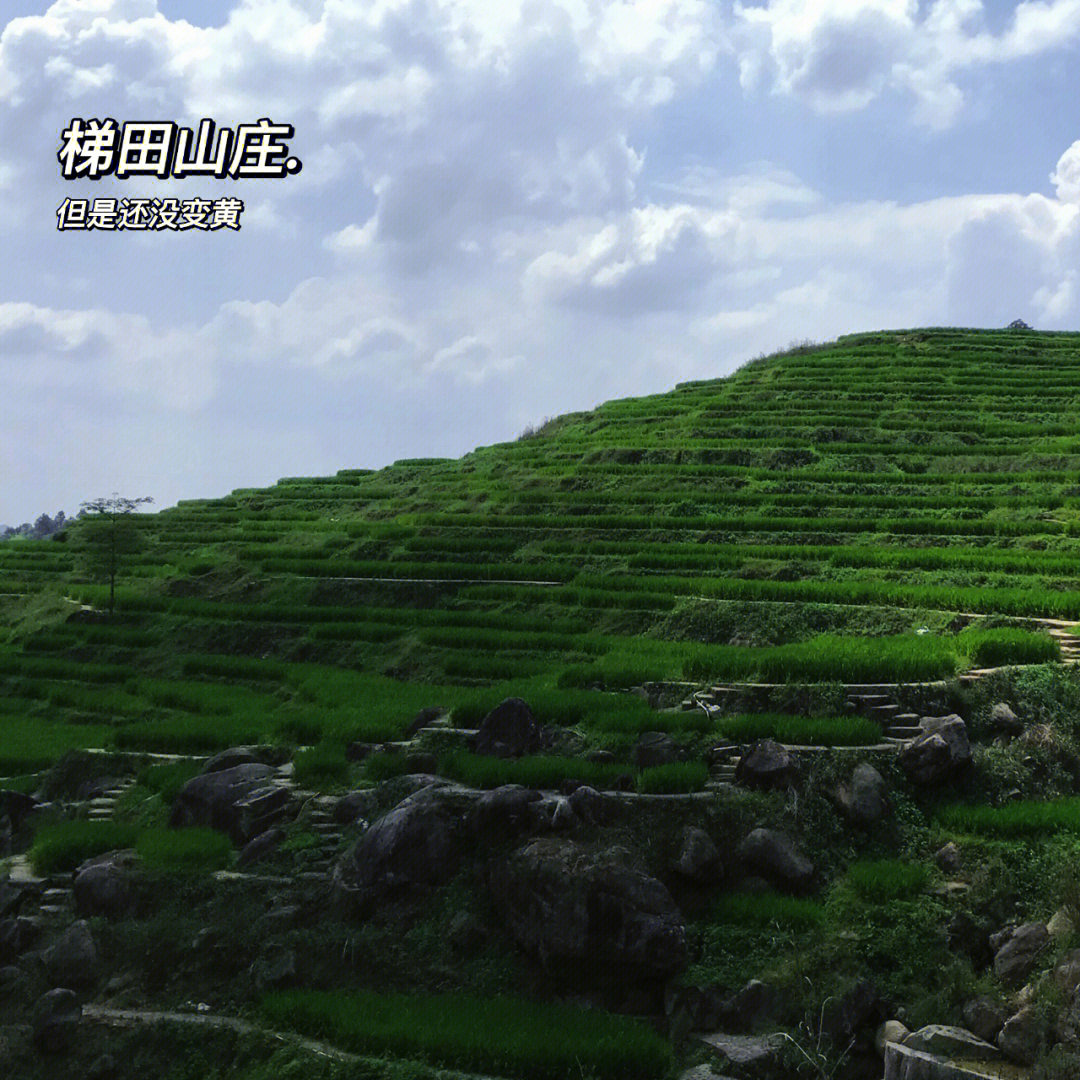 陆河上护公墓山图片