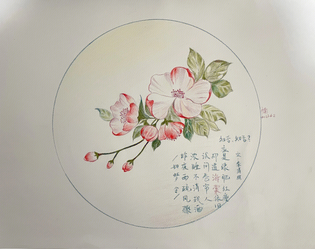 海棠花水粉画教程图片
