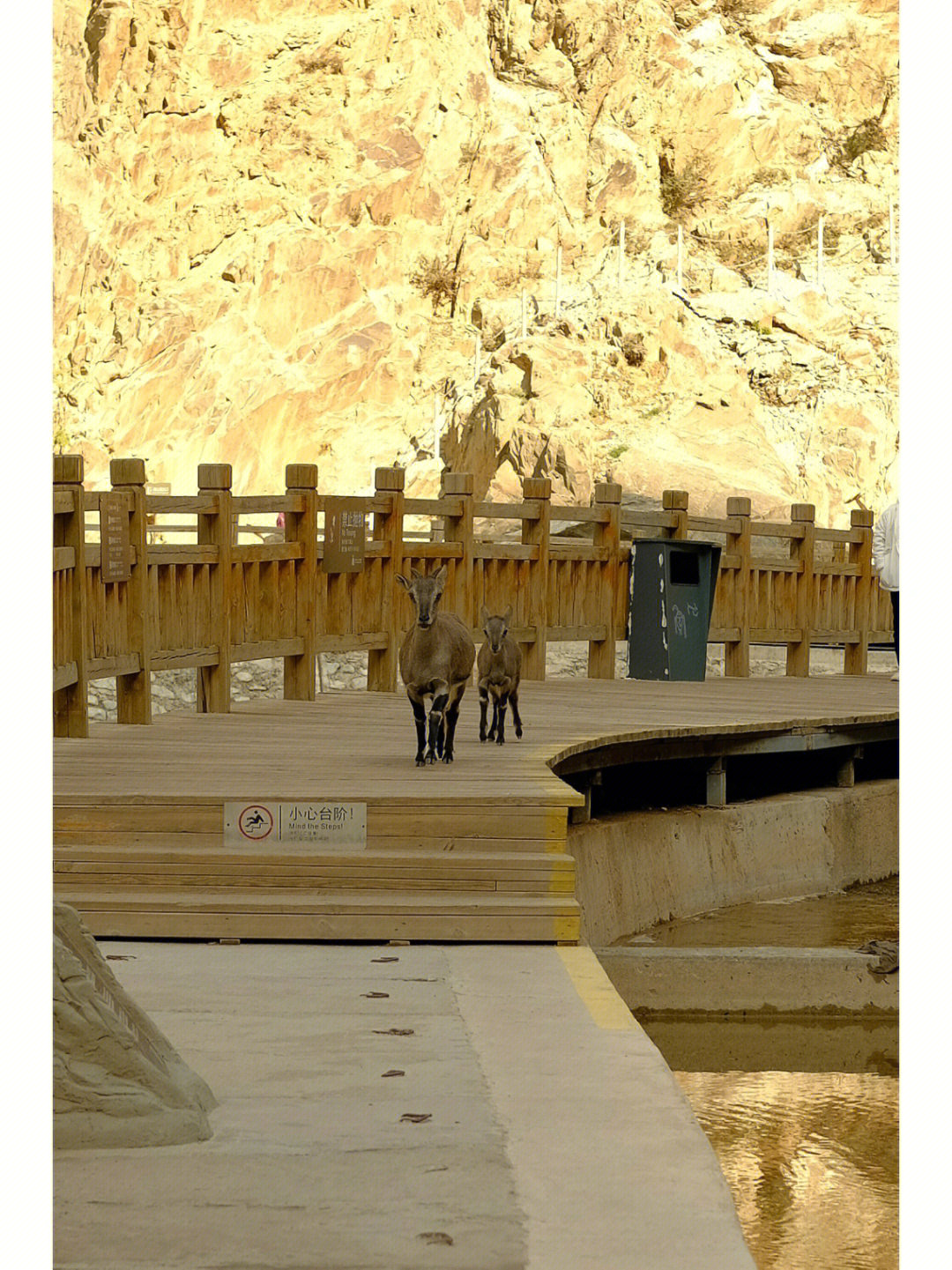 贺兰山岩画风景区门票图片