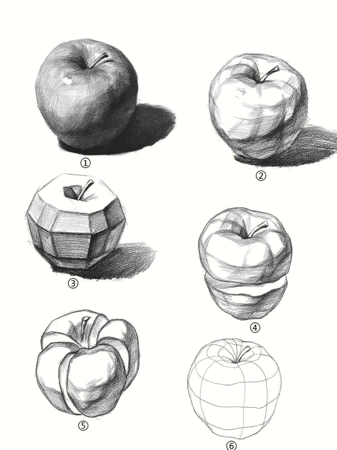 素描苹果结构解析图图片