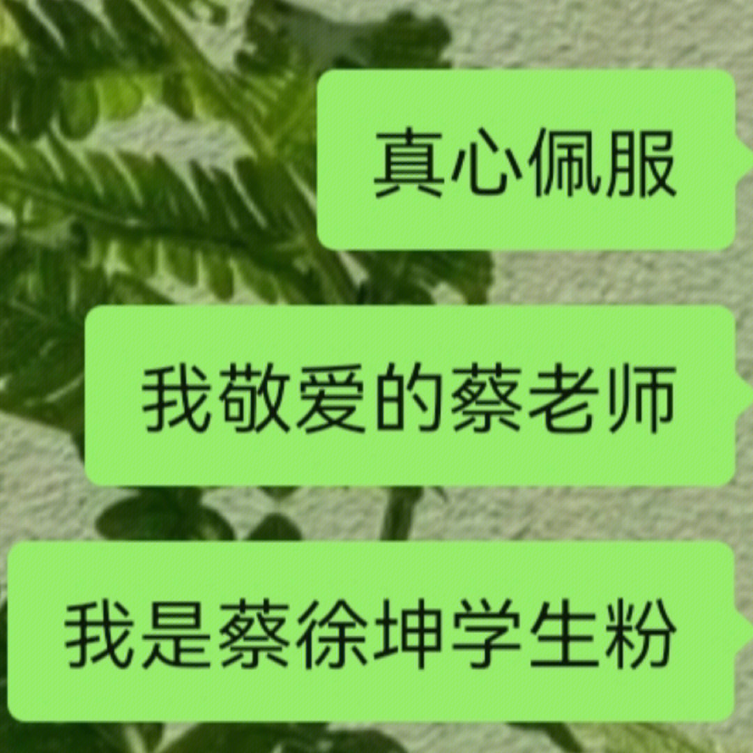 蔡徐坤的粉丝叫什么图片