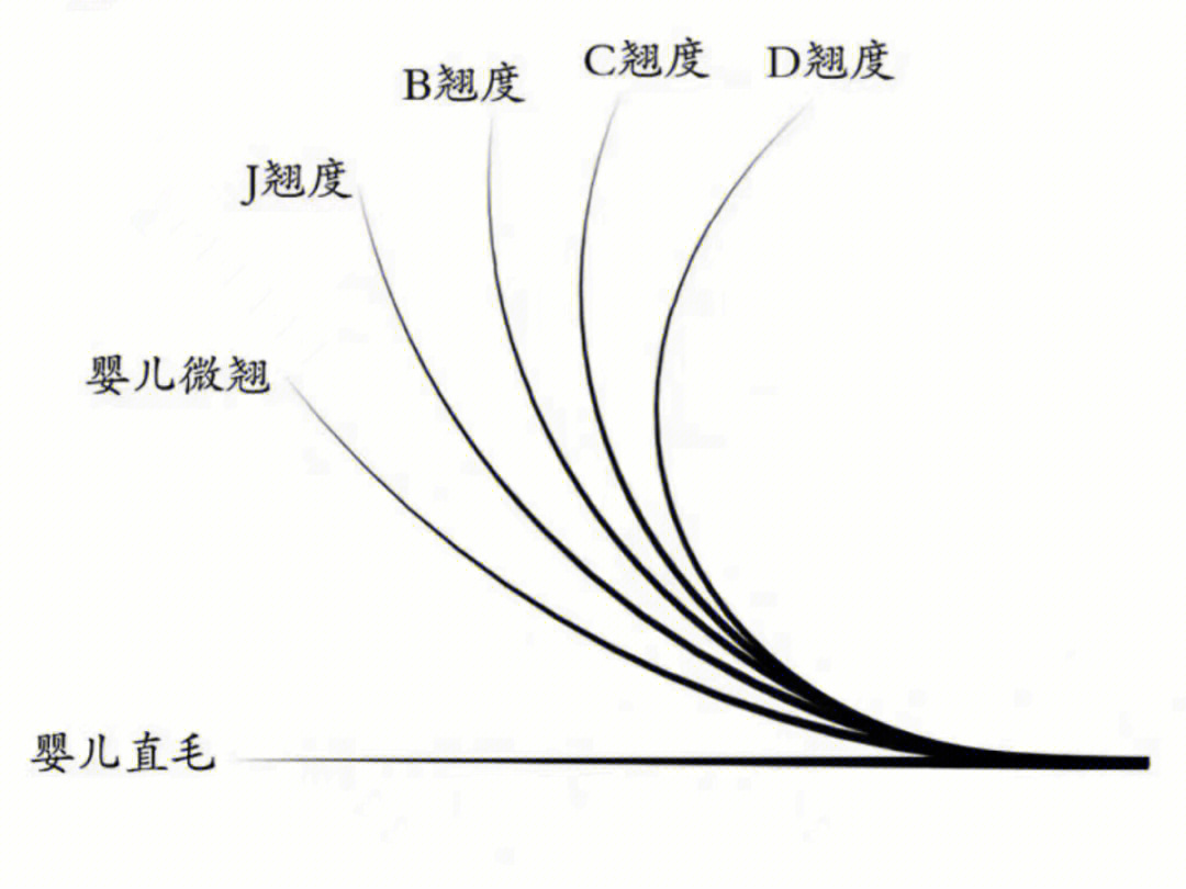 睫毛翘度bjc区别示意图图片