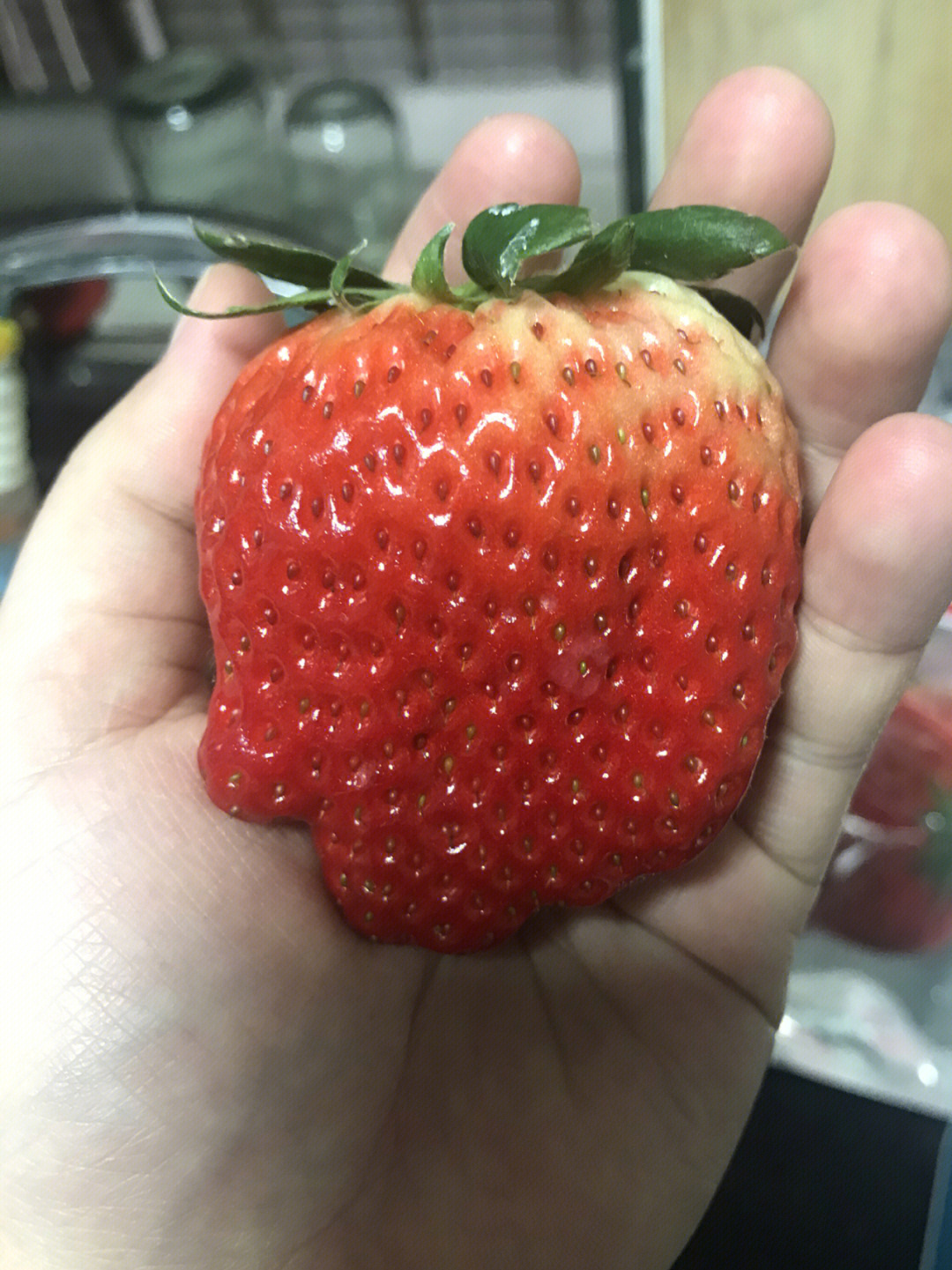 168不到三斤的丹东草莓大丑果