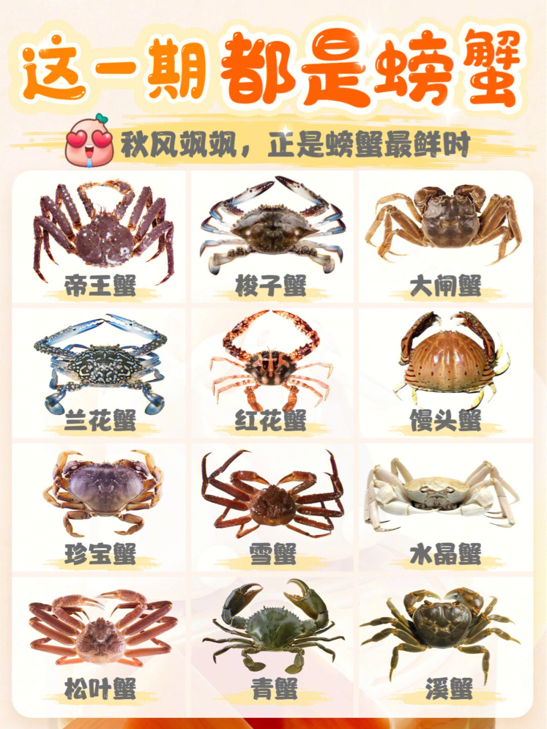 螃蟹的种类常见图片
