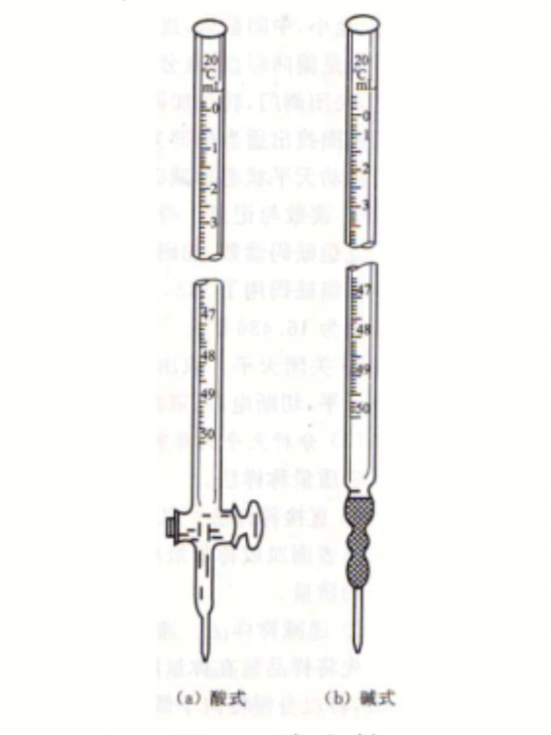 酸式滴定管怎么拿图片
