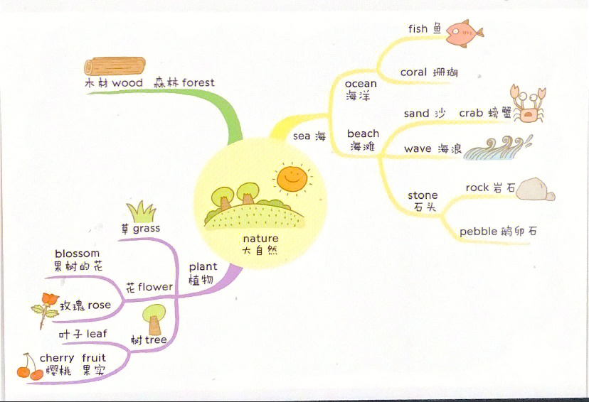 橙啦宝爷428张思维导图图片