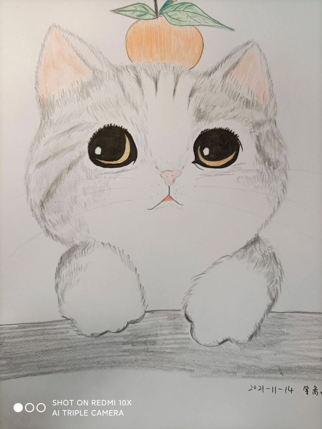 二年级画小猫咪 一只图片