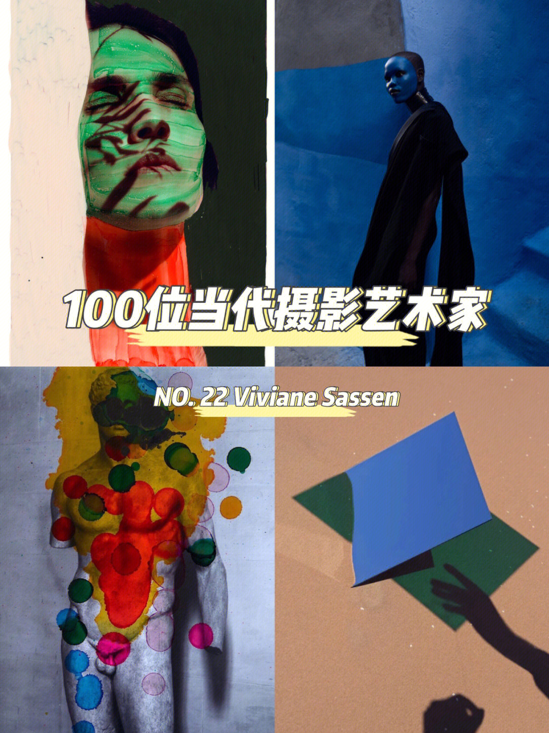 100位当代摄影艺术家no22vivianesassen