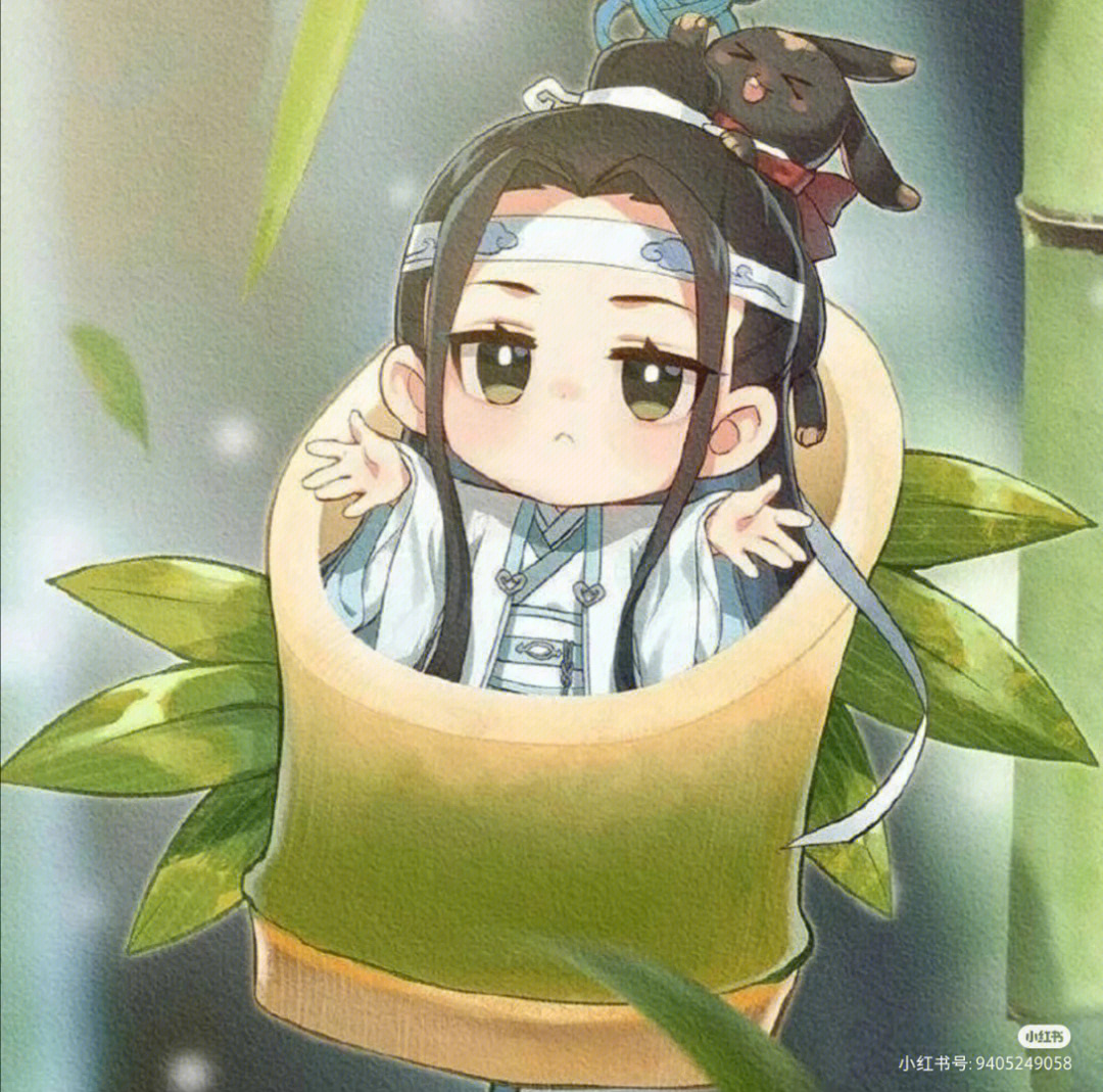 魔道祖师蓝夫人头像图片