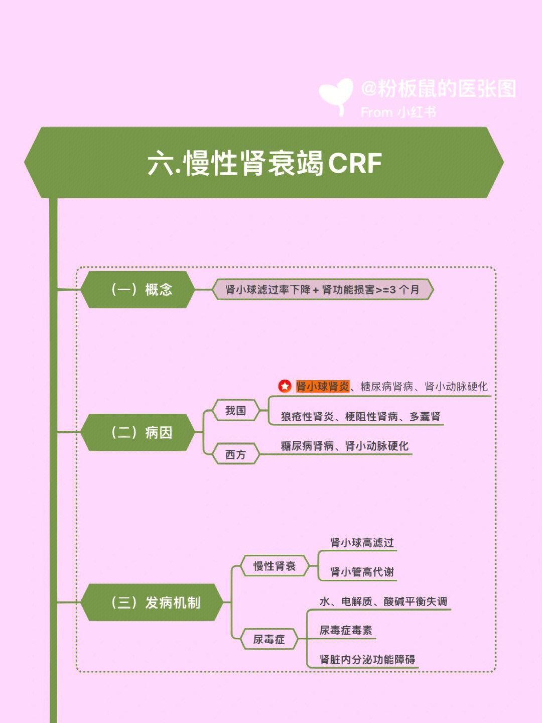 慢性肾衰竭病因图片