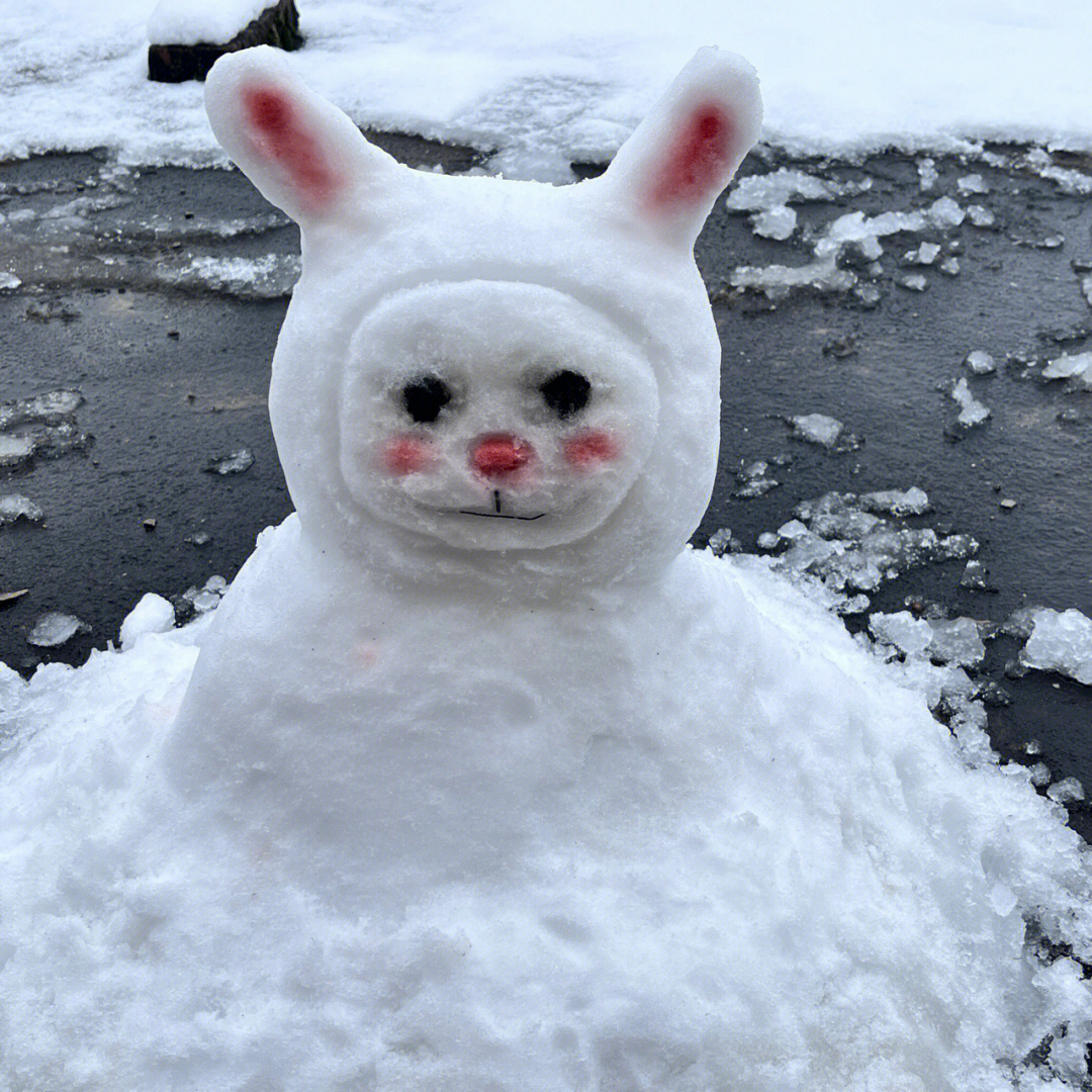 抖音兔子雪人图片