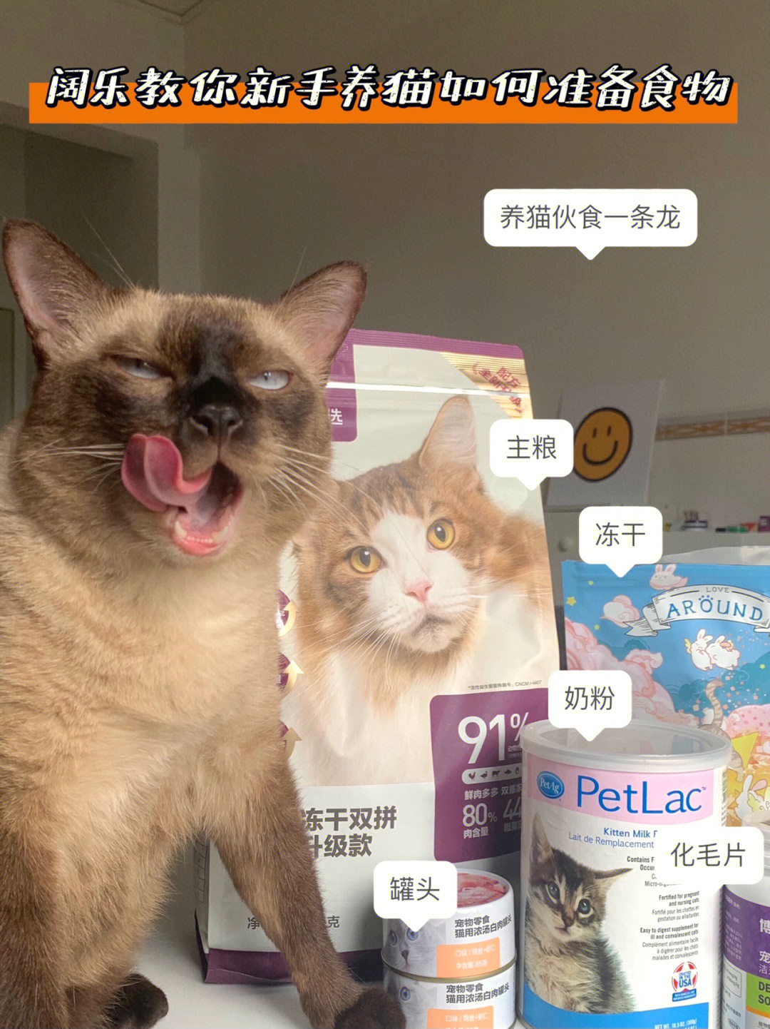 新手养猫如何准备食物阔乐来教你啦